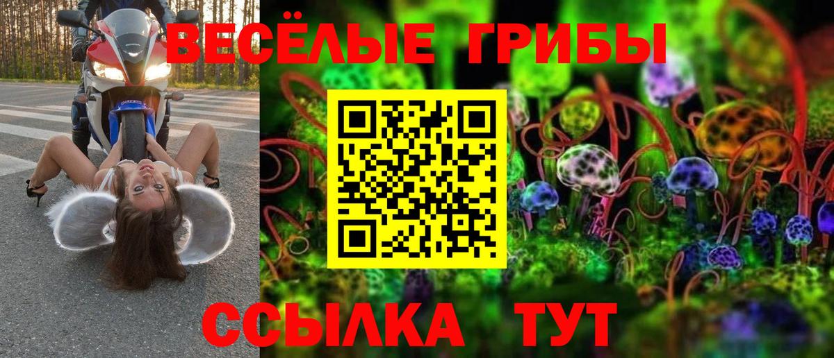Новочебоксарск  Псилоцибиновые грибы Cubensis  где можно купить   Вход с VPN 