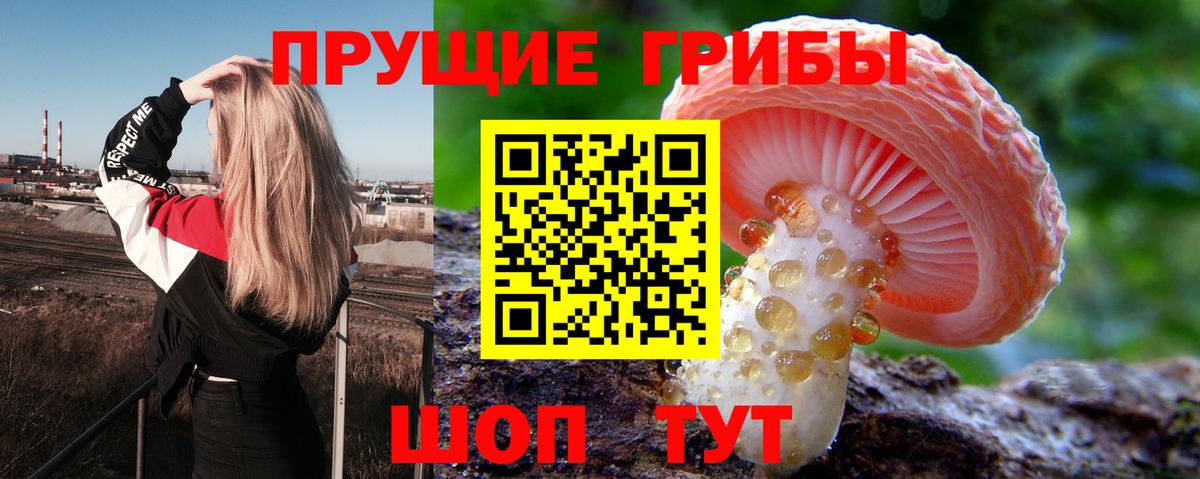 Галлюциногенные грибы GOLDEN TEACHER Новочебоксарск